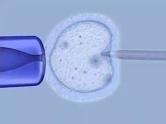 武汉当多元家庭拥抱新生命：解锁 “彩虹生子” 的温暖密码