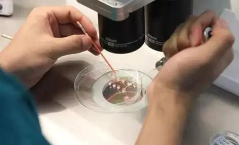武汉打破偏见的生命礼赞：同性生子背后的爱与坚守